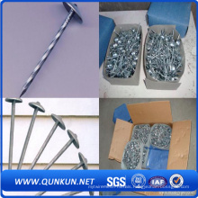 Smooth Umbrella Head Roofing Nail with Factory Price
